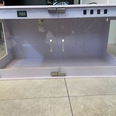 爬虫類ゲージ　　フトアゴヒゲトカゲ(再掲載)