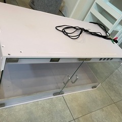 爬虫類ゲージ　　フトアゴヒゲトカゲ(再掲載)の画像