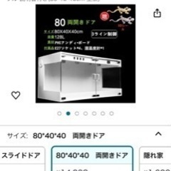 爬虫類ゲージ　　フトアゴヒゲトカゲ(再掲載)の画像