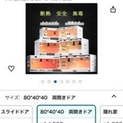 爬虫類ゲージ　　フトアゴヒゲトカゲ(再掲載)の画像