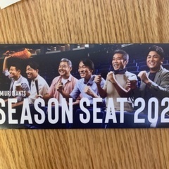 野球チケット　スカイシートBの画像