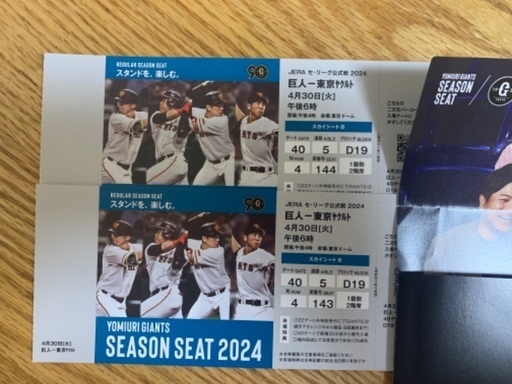 野球チケット　スカイシートB