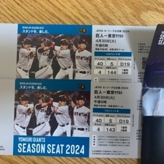 野球チケット　スカイシートB