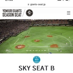 野球チケット　スカイシートBの画像