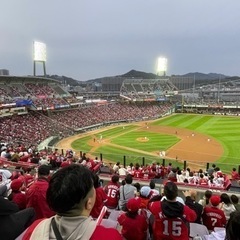 カープ🏟️一緒に観に行きませんか？ - 広島市