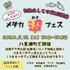 八重瀬町初メダカイベントの画像