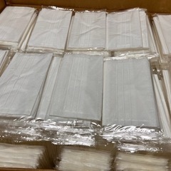 不織布マスク1枚1円の画像