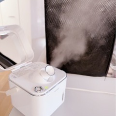 美顔器 ツインバードの画像