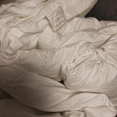 ベルメゾン　セミダブル布団　（ベルメゾン羽毛のように温かい）の画像