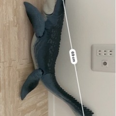 アニア　恐竜