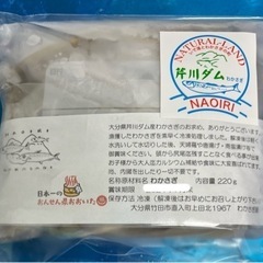 芹川ダムのわかさぎ🐟🐟