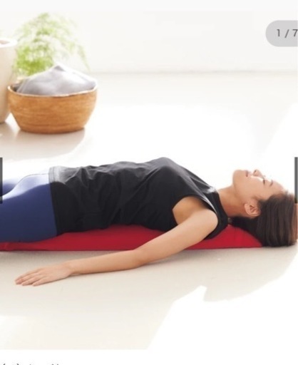 決まりました。エアリービューティポール　　ディノス