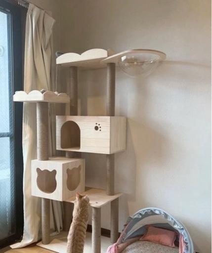 家具 収納家具 カラーボックス