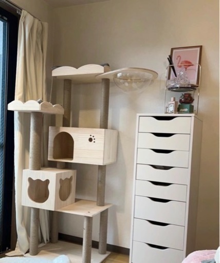 家具 収納家具 カラーボックス