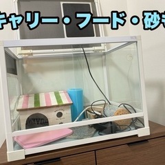 ハリネズミケージと飼育用品