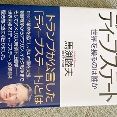 ディープステート（本）