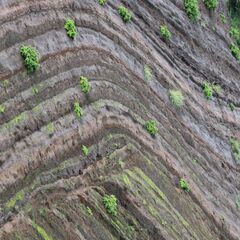（個人売買）大自然の秘境！伊豆大島でプライベートキャンプ用　11...