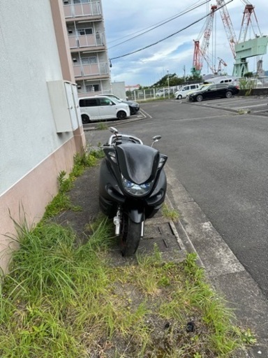 マジェスティC250ローダウン  現金手渡しでお願いします