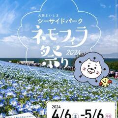 大阪まいしま　ネモフィラまつり