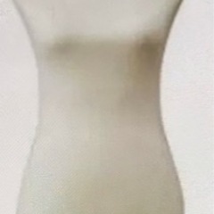 トルソーの画像