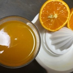 １０キロ🍊ジュースにいかがですか？　下津産清見オレンジ🍊訳あり🍊...