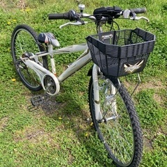 自転車 
