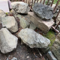 【庭石差し上げます】の画像