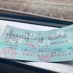 青春18きっぷ　3回分（4/5）（4/6以降2回分です）青春18切符
