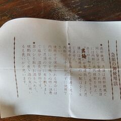 南部盛岡 南部鉄器 急須　/UJ-0871 南の画像