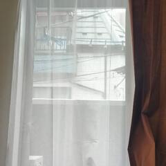 遮光カーテン