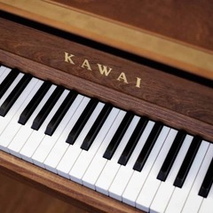 ピアノを学びたいですか？