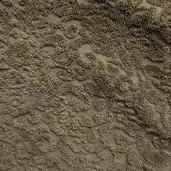 メンズ ショートパンツの画像