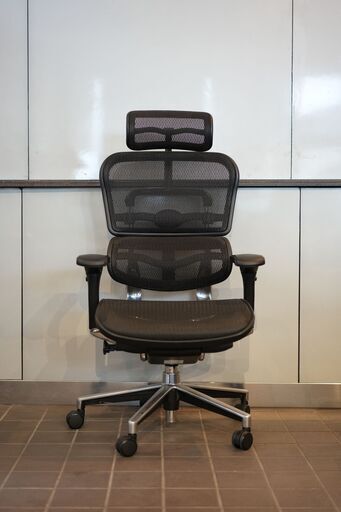 Ergohuman Basic(エルゴヒューマン ベイシック) / ヘッドレスト有り EH-HAM-HB-KM-11