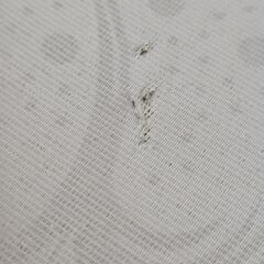 家具 ベッド シングルベッドの画像