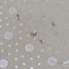 家具 ベッド シングルベッドの画像