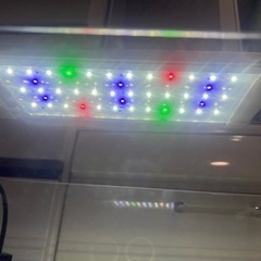 お値下げしました ADA 45 ガラス水槽 LED照明 オートヒーター 濾過 の画像