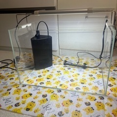 お値下げしました ADA 45 ガラス水槽 LED照明 オートヒ...