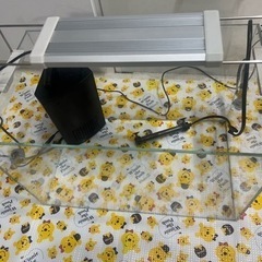 お値下げしました ADA 45 ガラス水槽 LED照明 オートヒーター 濾過 の画像
