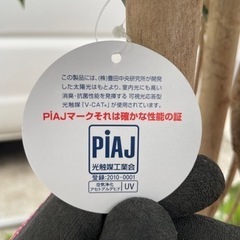 ●☆p2 造花　光の楽園　パキラ（植栽付き）の画像