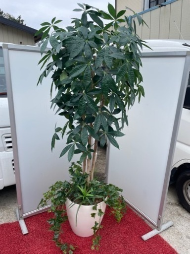 ●☆p2 造花　光の楽園　パキラ（植栽付き）