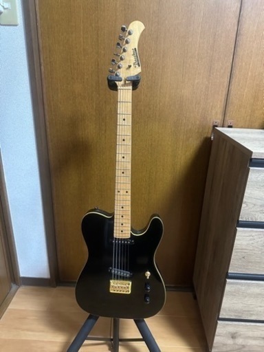 バッカスネック、TEJボディ Seymour Duncan