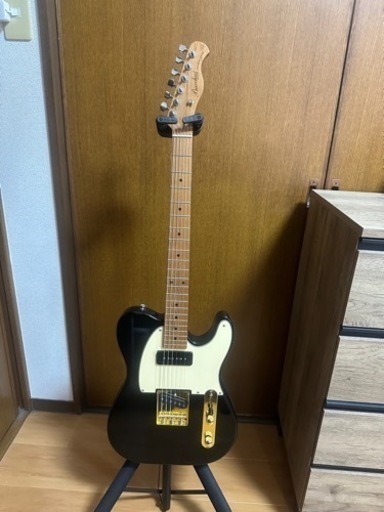 弦楽器、ギター Bacchus mod Fender PU