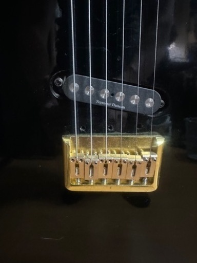バッカスネック、TEJボディ Seymour Duncan