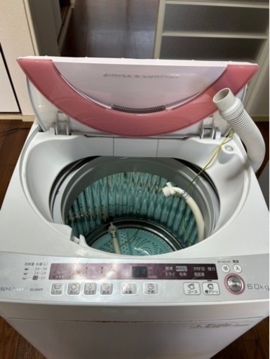 家電 生活家電 洗濯機
