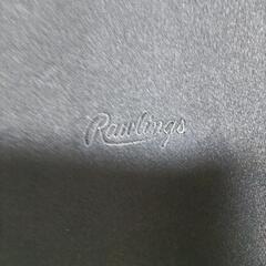 Rawlingsのジャージの画像