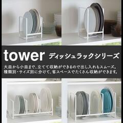 tower　山崎実業　ディッシュラック　S/L　2個セットの画像