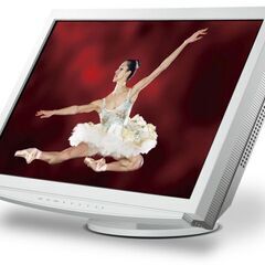 HDCP対応 WUXGA液晶ディスプレイ ナナオ EIZO FlexScan S2411W 16：10液晶の画像