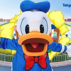 4/21(日)ディズニーランド同行者募集✨