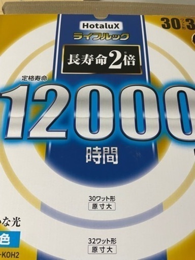 家電 生活家電 洗濯機