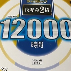 家電 生活家電 洗濯機